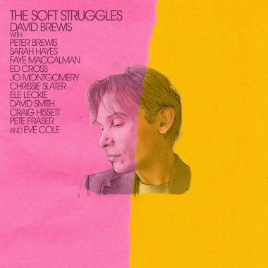 David Brewis -  The Soft Struggles
